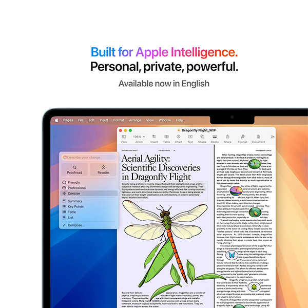 Apple Macbook Air M4 13-Inch 256GB 16RAM - mobile shop in Hamra, Beirut, Lebanon. New and used phones, iPhone, Samsung, Huawei, Xiaomi, Oppo, Realme, Honor, Google Pixel, tablets, laptops, computers, and accessories. متجر موبايلات في الحمرا، بيروت، لبنان. هواتف جديدة ومستعملة، آيفون، سامسونج، هواوي، شاومي، أوبو، ريلمي، هونر، جوجل بيكسل، أجهزة لوحية، لابتوبات، كمبيوترات، واكسسوارات.